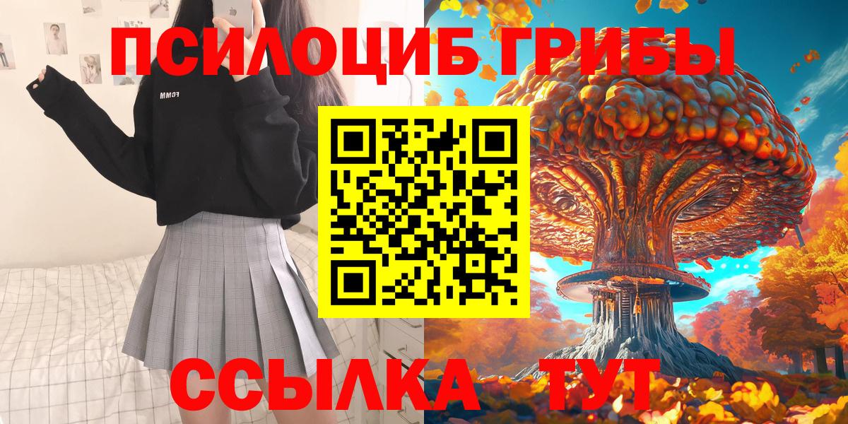 Галлюциногенные грибы Cubensis  что такое наркотик  Качканар  Вход с VPN  Псилоцибиновые грибы Cubensis 